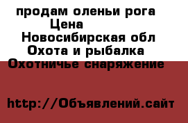 продам оленьи рога › Цена ­ 3 500 - Новосибирская обл. Охота и рыбалка » Охотничье снаряжение   